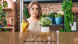  Presentation with young plant - 