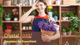  Presentation with hand holding flowers - PPT layouts consisting of young-caucasian-woman-working background and a tawny brown colored foreground