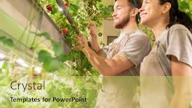  Presentation with worried young female college student - Slides consisting of young-cheerful-female-greenhouse-worker background and a yellow colored foreground
