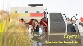  Presentation with golden woman - Presentation design featuring young chinese woman agonomist in golden cereal field with small harvester background and a coral colored foreground