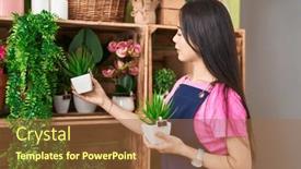  Presentation with flower woman - 