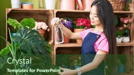  Presentation with diffuser - PPT theme having young-chinese-woman-florist-using background and a tawny brown colored foreground