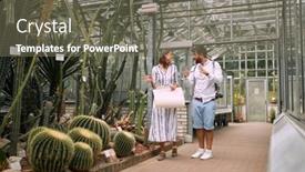  Presentation with botanical garden - Colorful PPT layouts enhanced with young-colleagues-discussing-cactuses backdrop and a gray colored foreground