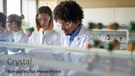  Presentation with chemicals - Amazing theme having young-colleagues-in-a-protective backdrop and a light gray colored foreground