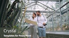  Presentation with botanical garden - Slide set consisting of young-colleagues-observing-cactuses background and a dark gray colored foreground