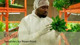  Presentation with african ethnicity - Colorful presentation design enhanced with young-contemporary-agroengineer-of-african backdrop and a mint green colored foreground