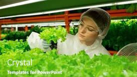  Presentation with vertical farm - Presentation design consisting of young-contemporary-female-agroengineer background and a shamrock green colored foreground