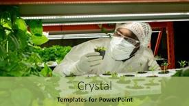  Presentation with vertical farm - Theme having young-contemporary-researcher-or-agroengineer background and a mint green colored foreground