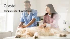  Presentation with contemporary world - Cool new PPT theme with young contemporary veterinarian checking ears backdrop and a  colored foreground