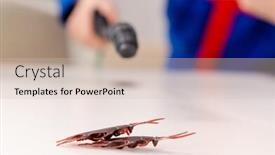  Presentation with pest - Amazing slides having young contractor doing pest control at home backdrop and a soft green colored foreground