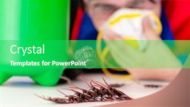  Presentation with pest control - Slides with young contractor doing pest control at home background and a shamrock green colored foreground
