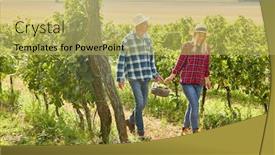  Presentation with wine - Slide set enhanced with young-couple-carries-basket background and a yellow colored foreground