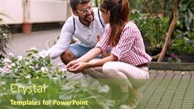  Presentation with botanical garden - Cool new theme with young-couple-enjoying-beautiful-flowers backdrop and a tawny brown colored foreground