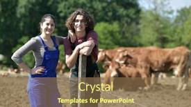  Presentation with catholic couple silhouette of young - Audience pleasing presentation consisting of young-couple-of-farmers-standing backdrop and a coral colored foreground