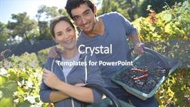  Presentation with vine wine - Cool new slide deck with young couple of wine-growers walking in vine rows backdrop and a ocean colored foreground