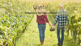  Presentation with vineyard - Audience pleasing PPT theme consisting of young-couple-on-a-summer backdrop and a yellow colored foreground