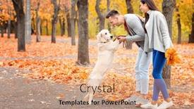  Presentation with dog park - Beautiful slide set featuring young couple playing with their dog in park backdrop and a coral colored foreground