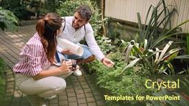  Presentation with botanical garden - Amazing slide set having young-couple-taking-photos backdrop and a tawny brown colored foreground