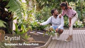  Presentation with botanical garden - PPT theme consisting of young-couple-talking-about-plants background and a violet colored foreground