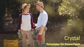  Presentation with olive - 