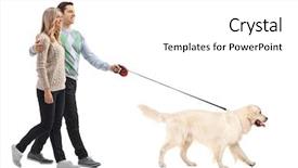  Presentation with young happy couple - PPT theme featuring young couple walking a dog background and a white colored foreground