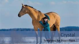  Presentation with horse child - Presentation design enhanced with young-cute-girl-hugs-trakehner background and a teal colored foreground