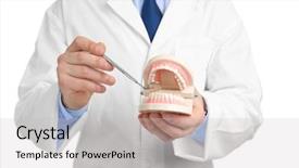  Presentation with jaw - Cool new PPT theme with young dentist with jaw model backdrop and a light gray colored foreground