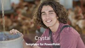  Presentation with hen - Amazing presentation theme having young-farmer-apprentice-helping backdrop and a violet colored foreground