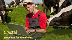  Presentation with vertical farm - Presentation theme consisting of young farmer working with laptop background and a tawny brown colored foreground
