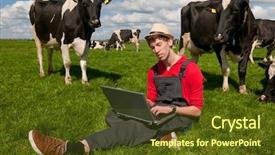  Presentation with young man holdng laptop on lap money - Slide deck with cute colourful bouquet of sliced vegetables and fruits on light wooden background close up background and a cream colored foreground