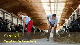  Presentation with spades - Slide deck with young farmers with spades giving background and a  colored foreground