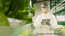  Presentation with search button searching information online - PPT theme consisting of young-female-agro-engineer background and a  colored foreground