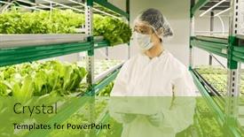  Presentation with vertical farm - PPT theme having young-female-agro-engineer background and a yellow colored foreground