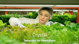  Presentation with vertical farm - PPT theme featuring young-female-agroengineer-in-protective background and a shamrock green colored foreground