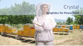  Presentation with bee - PPT theme having young-female-bee-keeper-posing background and a sky blue colored foreground