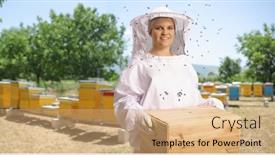  Presentation with bee - Presentation theme featuring young-female-bee-keeper background and a coral colored foreground