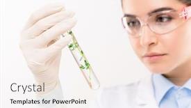  Presentation with young plant - Presentation theme with young-female-biologist-in-gloves background and a sky blue colored foreground