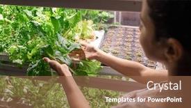  Presentation with plants growing - Presentation theme having young-female-farmer-or-selectionist background and a tawny brown colored foreground