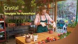  Presentation with nursery - 