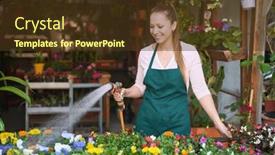  Presentation with nursery plant - Presentation theme having young-female-gardener-watering-flowers background and a tawny brown colored foreground