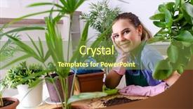  Presentation with plants - Colorful presentation theme enhanced with young female gardener with plants backdrop and a tawny brown colored foreground