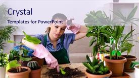  Presentation with plants - Audience pleasing presentation theme consisting of young female gardener with plants backdrop and a sky blue colored foreground