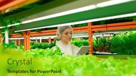  Presentation with green moving - Colorful PPT theme enhanced with young-female-greenhouse-worker backdrop and a yellow colored foreground