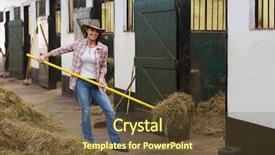  Presentation with horse - Amazing PPT theme having young female horse breeder working backdrop and a tawny brown colored foreground