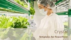  Presentation with petri dish - Slide set enhanced with young-female-scientist-with-pipette background and a lemonade colored foreground