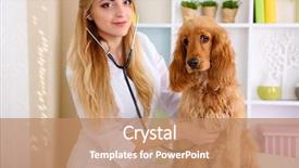  Presentation with clinic - Amazing PPT theme having young female veterinarian examining dog backdrop and a coral colored foreground