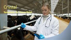  Presentation with body temperature - Presentation design featuring young-female-veterinarian-in-whitecoat background and a tawny brown colored foreground