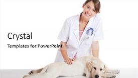  Presentation with veterinary - Colorful theme enhanced with young female veterinary taking care backdrop and a white colored foreground