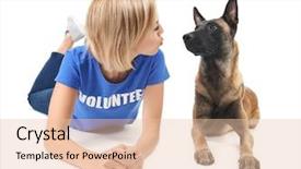  Presentation with dog park animal jack - PPT theme consisting of young female volunteer with dog background and a lemonade colored foreground