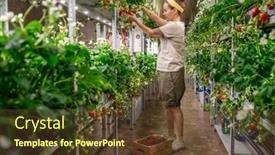  Presentation with vertical farm - Beautiful PPT layouts featuring young-female-worker-of-contemporary backdrop and a tawny brown colored foreground